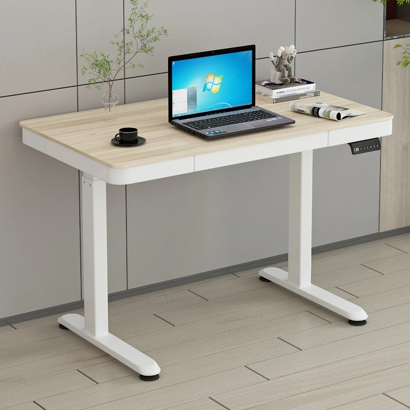 Sit Stand Electric Standing Height Adjustable Study Computer Desk